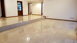 Leonie Gardens (D9), Condominium #556423661